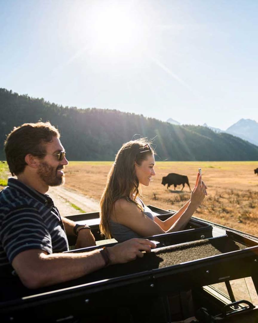 A man and woman ride in an open vehicle through a sunny field, with cattle grazing nearby and mountains in the background. The woman is taking a photo with her phone while the man smiles beside her.