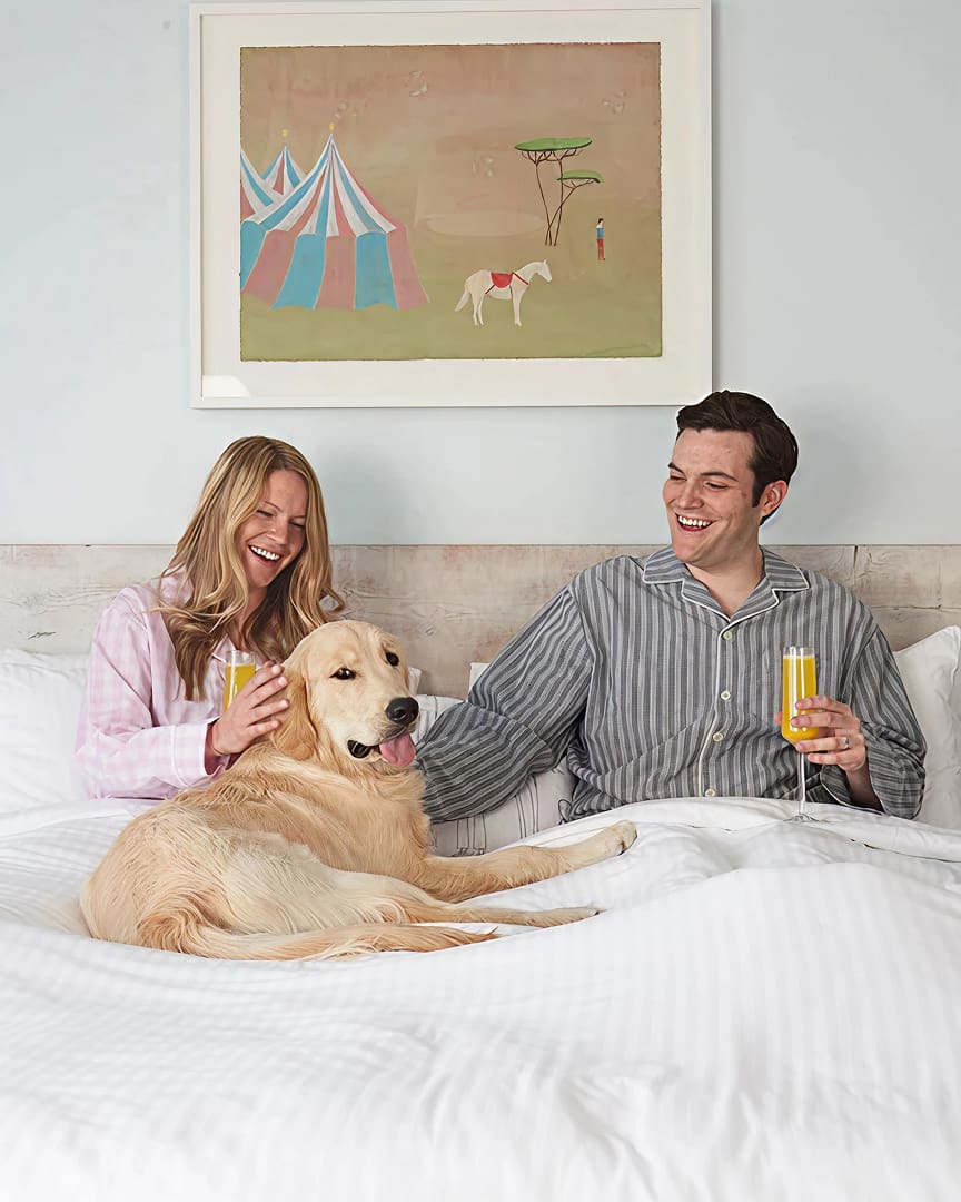 A smiling couple in pajamas sits on a bed with a golden retriever, each holding a glass of orange juice. A painting of a circus tent and horse hangs on the wall behind them.