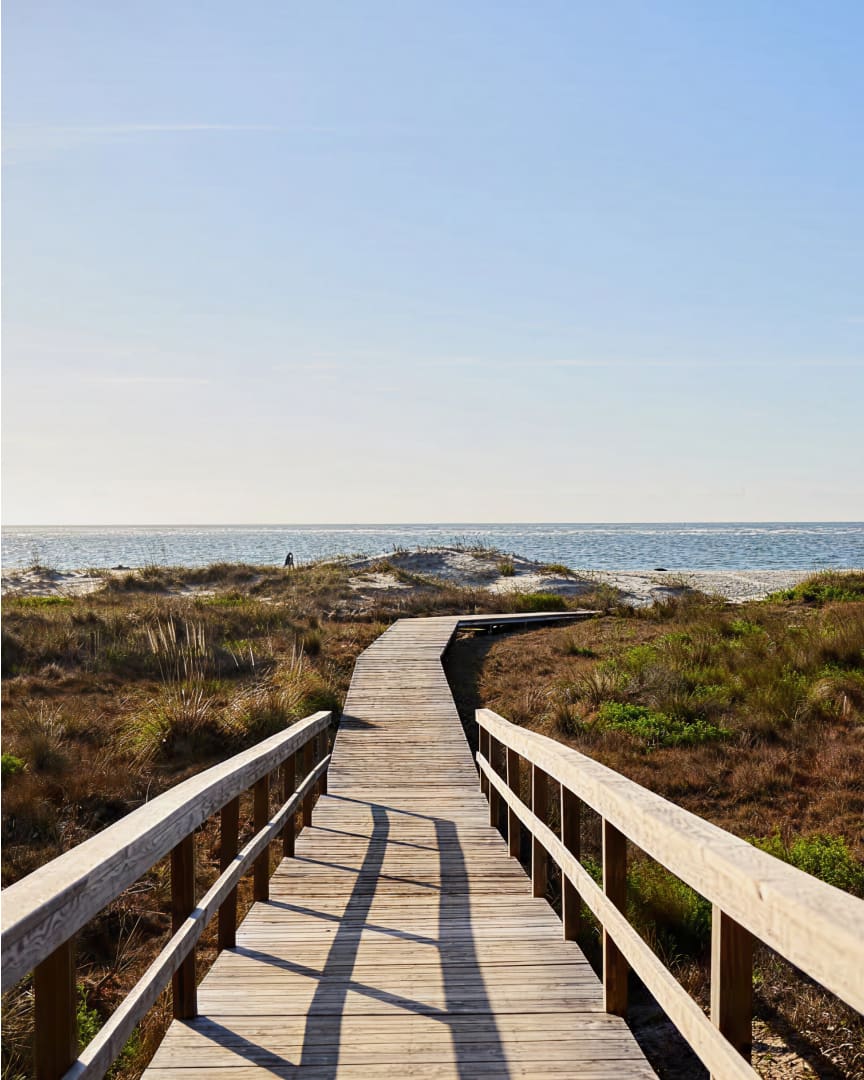 A wooden boardwalk with railings leads through sand dunes and grassy vegetation toward a calm ocean under a clear blue sky.
