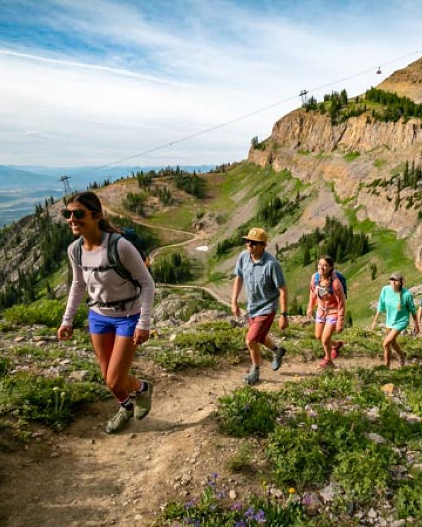 Four people hike up a dirt trail on a green, rocky mountainside under a blue sky. They wear casual hiking clothes and backpacks, surrounded by wildflowers with ski lifts visible in the background.