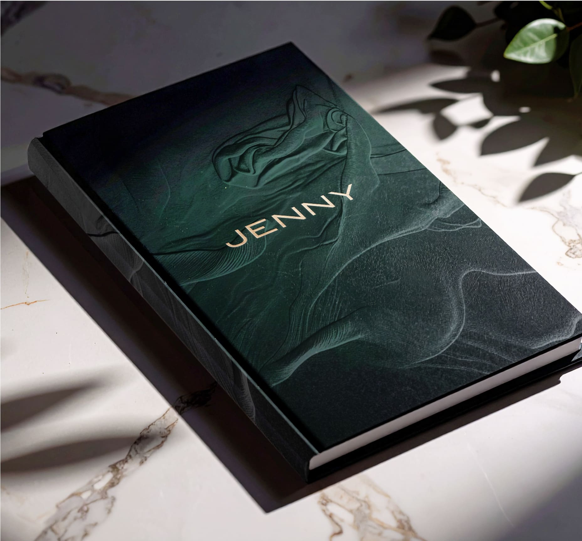 A hardcover book titled "JENNY" with gold lettering lies on a marble surface, partially in sunlight and surrounded by leafy shadows. The book cover features a dark, abstract design.