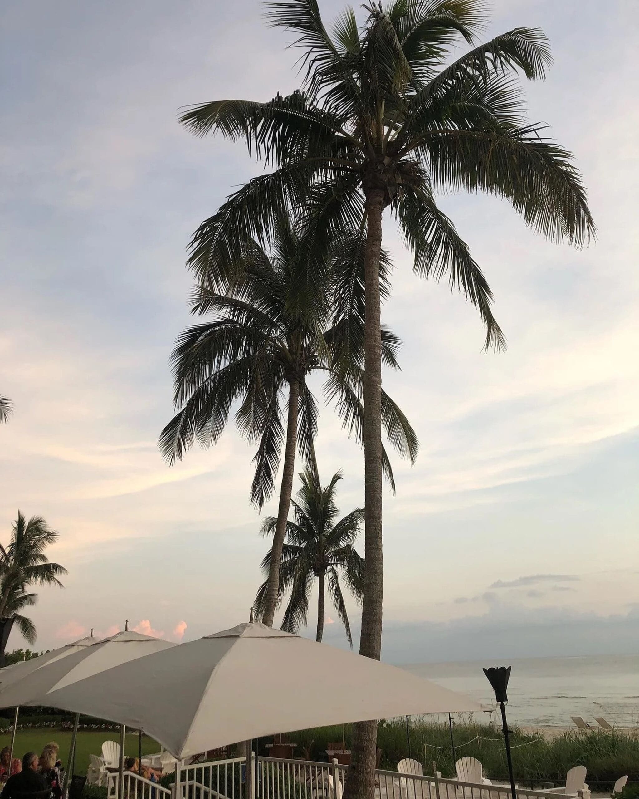Tall palm trees and white beach umbrellas overlook rows of white Adirondack chairs facing the ocean at sunset, with a soft pastel sky and gentle waves in the background.