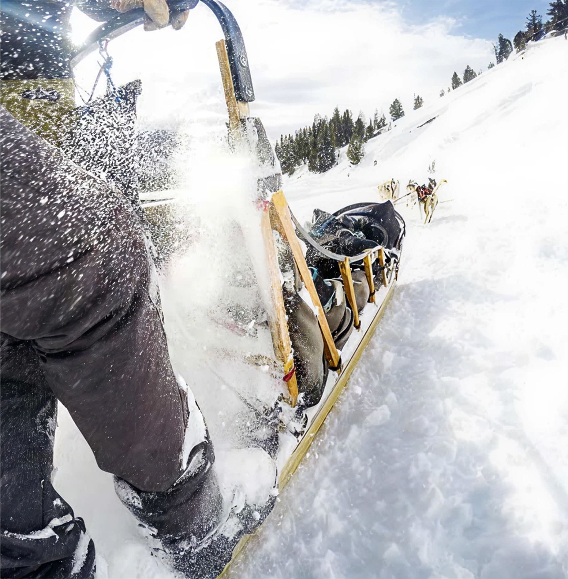 Close-up view of a person riding a dog sled through snowy terrain, with snow spraying up, sled dogs running ahead, and a forested hillside visible in the background under a bright sky.